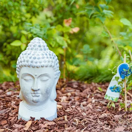 Tiny Messancy, Immersion Dans La Nature ! Casa de Férias Messancy